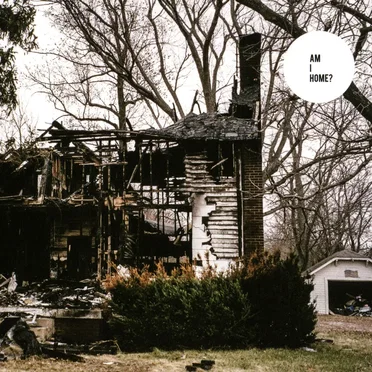 Am I Home? by Skeletons - album cover
