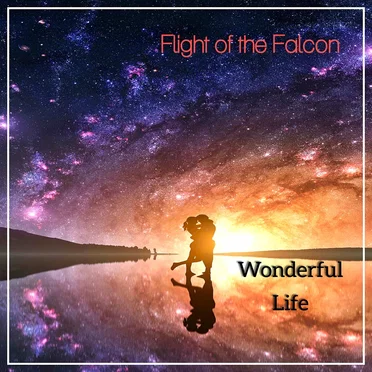 Wonderful Life by Flight of the Falcon - album cover