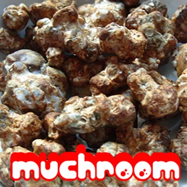 Truffled by Much Room - album cover