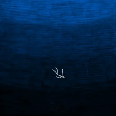 blue hell