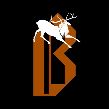 Inside My Tail by BOWNIK - album cover