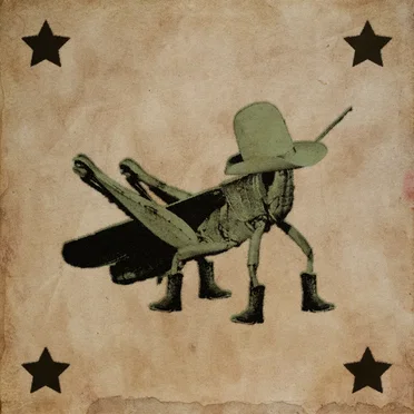 Grasshopper by Lake Rana - album cover