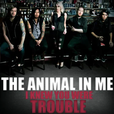 I Knew You Were Trouble