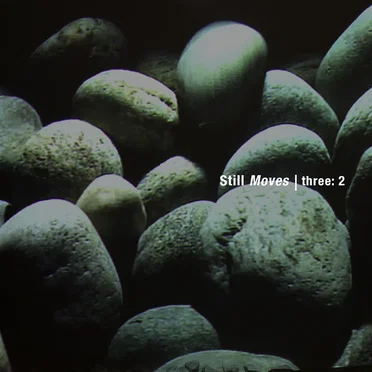 Still Moves | three