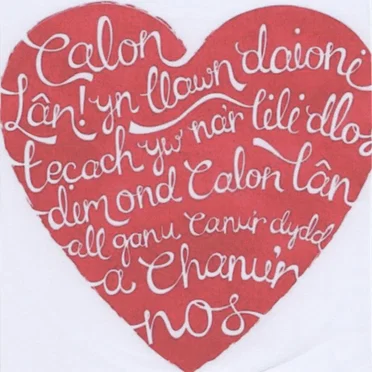 Calon Lan by Beth Ford - album cover