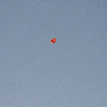 parabola