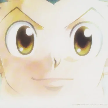 HUNTER×HUNTER セレクト×ベスト×α