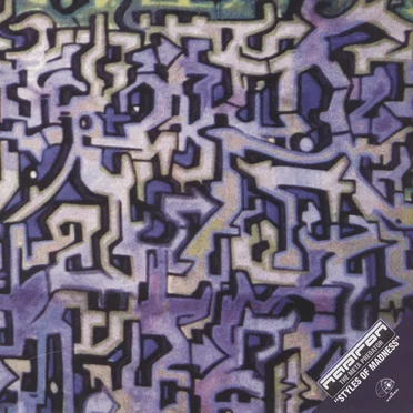Styles Of Madness by Naptron - album cover