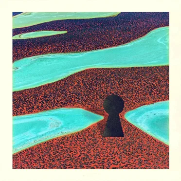 Lonely Bird by Dirty Sound Magnet - album cover