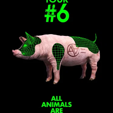 Live #6 at O-EAST 20191117