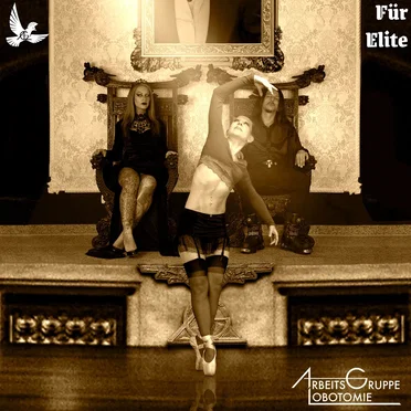 Für Elite by Arbeitsgruppe Lobotomie - album cover