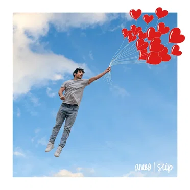 slip by anees - album cover