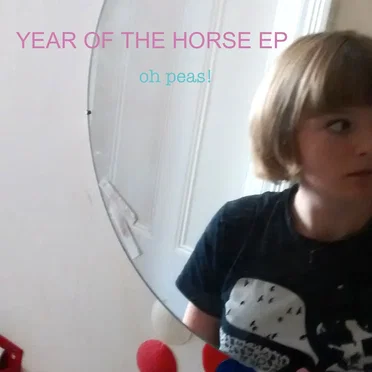 Year of the Horse