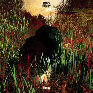 Bunny by Snack Family - album cover