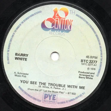 You See the Trouble With Me