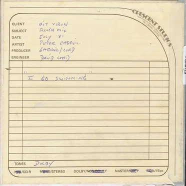 I Go Swimming (studio rough mix)