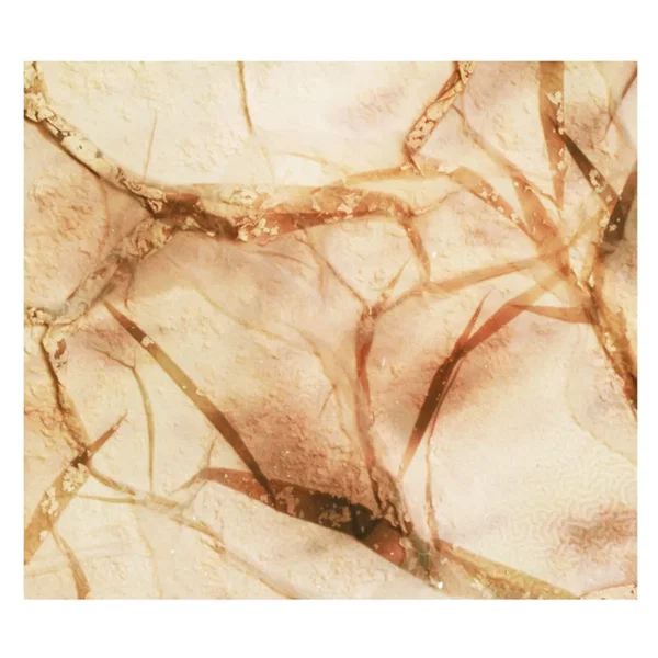Tectonic Particles
