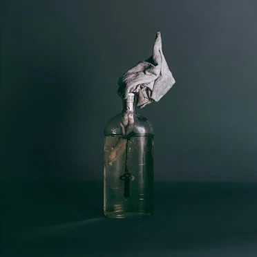 Liars by Hidden Hospitals - album cover