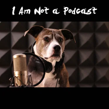 I Am Not a Podcast (Highlights)
