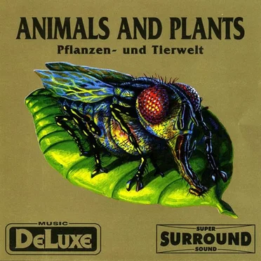 Animals and Plants by Various Artists - album cover