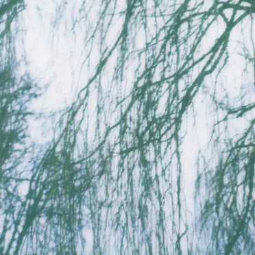landscape 02