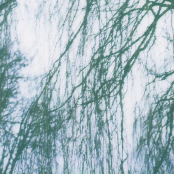 landscape 02