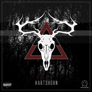 Burn It Down by rv1nbxvv - album cover