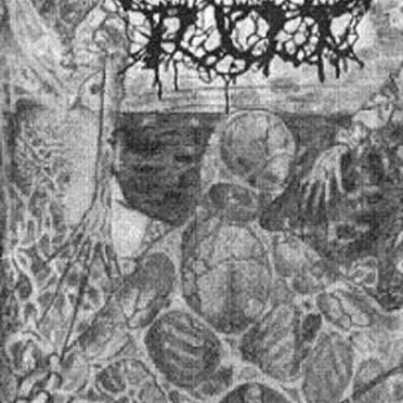 The Soil by Conscious Rot - album cover
