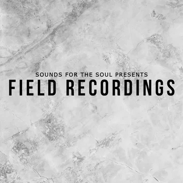 Field Recordings by Various Artists - album cover