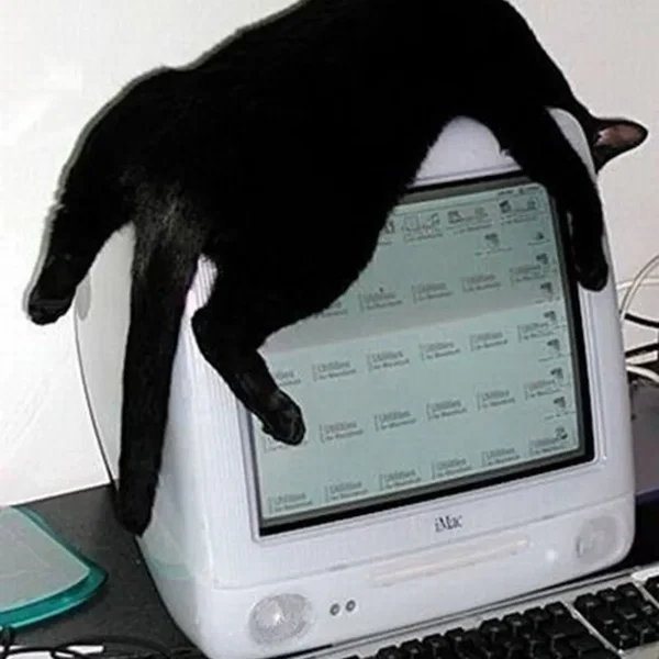 qwerty