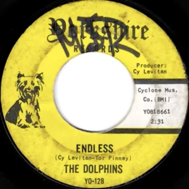The Dolphins
