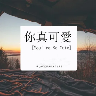 You're So Cute by Black Paradise - album cover