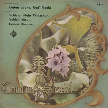 Guten Abend, gut’ Nacht / Schlafe, mein Prinzchen, schlaf’ ein …