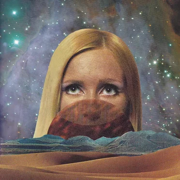 Like a Collector by Kirtan Electric Dream - album cover