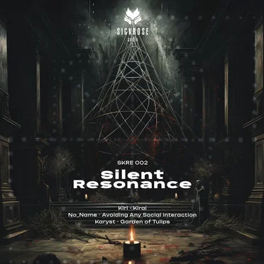 Silent Resonance by Various Artists - album cover