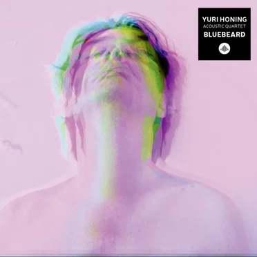 Bluebeard by Yuri Honing Acoustic Quartet - album cover