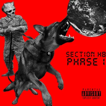 Phase One