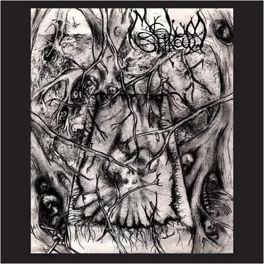 Mycelium Shroud by Mycelium Shroud - album cover