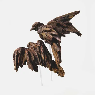 BIRDS by Aether - album cover