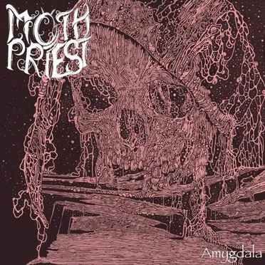 Moth Priest
