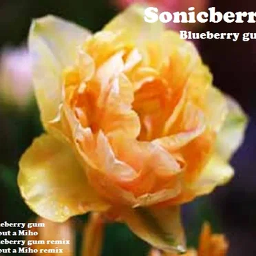 Blueberry Gum by sonicberry - album cover