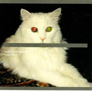 Nurse / Shark by Nathan Halverson - album cover