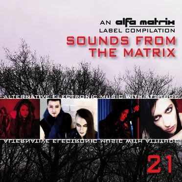 Sounds From the Matrix 021 by Various Artists - album cover