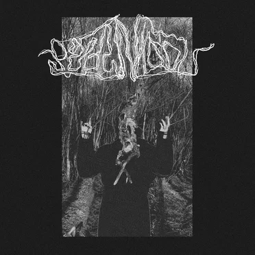 Pagan Idol by Pagan Idol - album cover