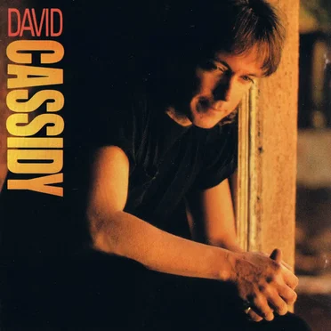 David Cassidy by David Cassidy - album cover