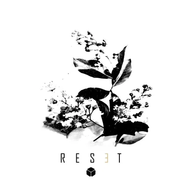 Reset