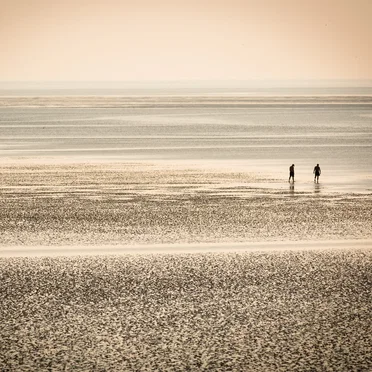 This Tide Will Bring You Home