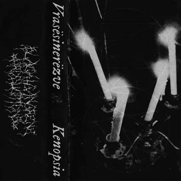 Vrasësinerëzve / Kenopsia by Vrasësinerëzve - album cover