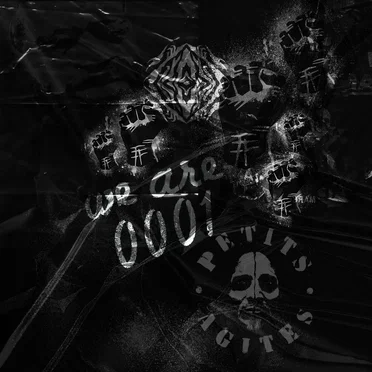 We Are 0001 by Petits Agites - album cover