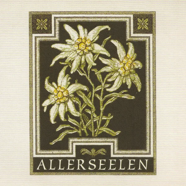 Edelweiss
